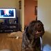 Deb Strobel - Facebook