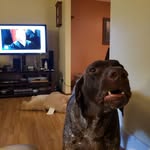 Deb Strobel - @deb.strobel.9 - Instagram