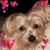 Deb Strong - @deb.strong2 - TikTok