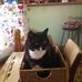Debbie Strawbridge - Facebook