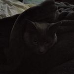 Deborah Sturdevant Clabaugh - @sturdevantclabaugh - Instagram