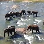 Deb Summers - @goadebs - Instagram