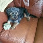 Deb Summers - @deb.summers.77 - Instagram
