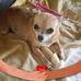 Deborah Summers - Facebook