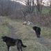 Deb Sutherland - Facebook