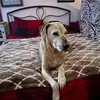 Deb Sutherland - @deb.sutherland0 - TikTok