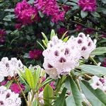 Deb Sutter Hutchison - @deb_sutter_hutchison - Instagram