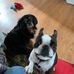 Debbie Sutter - Facebook