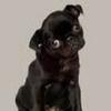 debrasutter61 - @debrasutter61 - TikTok