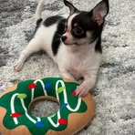 Deb OSullivan - Facebook