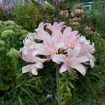 Deb Swanson - @dnbswanson - Instagram