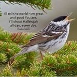 Deb Swanson - @dsprouse2007 - Instagram