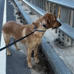 Deb Swanson - @deb.swanson122 - Instagram