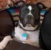 Deb Swanson - Facebook