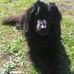 Deb Swenson - Facebook