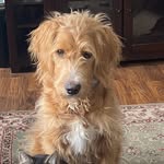 Deb Swenson Selig - @debkavanah - Instagram