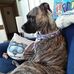 Deb Tabor - Facebook
