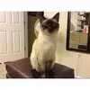 debbitackett657 - @debbitackett657 - TikTok