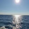 debbietalley369 - @debbietalley369 - TikTok