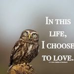 Debra Talley - @debra.talley.902 - Instagram