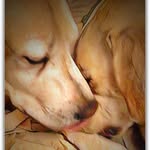 Luke & Wyatt - @deb_tappe - Instagram