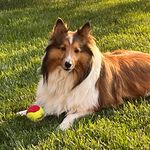 Debbie Tatum - @snowing101 - Instagram