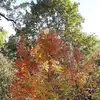 Debbie Teel - @debbie.teel5 - TikTok