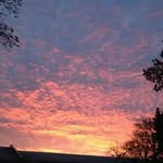 Deb Thompson - @thompson.deb - Instagram