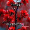 Deb Thompson - @deb1thompson - TikTok