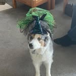 Deb Thompson - @debthompson8024 - Instagram