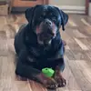 Deb Thompson - @deb.thompson87 - TikTok