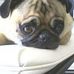 Deb Thornton - Facebook
