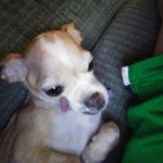 Debbie Tichenor - @debbie.tichenor - Instagram