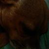 debbietichenor - @debbietichenor - TikTok