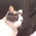 Deb Tiffany - Facebook