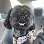Deb Tillman - @dt_caramel - Instagram
