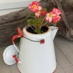 Deb Tillman - @deb590015 - Instagram
