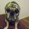 debbietreece88 - @debbietreece88 - TikTok