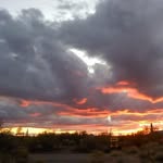 Deb Trotter - @deb.trotter1 - Instagram