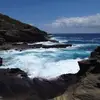 Debbie Abbott Trotter - @debbie.abbott.tro - TikTok