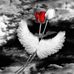 Debbie Trotter - Facebook