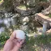 Debra Trotter - @debra.trotter04 - TikTok