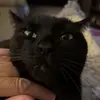 DebsandTillyTrotter - @debsandtillytrotter - TikTok