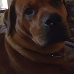 Deb Tyler - @debtyler1968 - Instagram