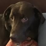 Debbie Maloy Walsh - @debwalsh13 - Instagram