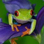 Deb Ward - @debsnaturephotos - Instagram