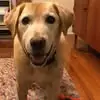 Deb Way - @deb.way - TikTok