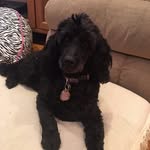 Deb Weaver - @deb_weaverr - Instagram