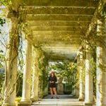 Deb Westcott - @westcottd - Instagram