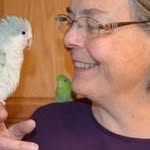 Deb White - @debwhite3841 - Instagram